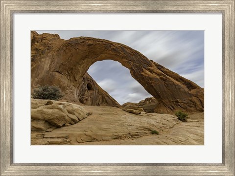 Framed Corona Arch Print