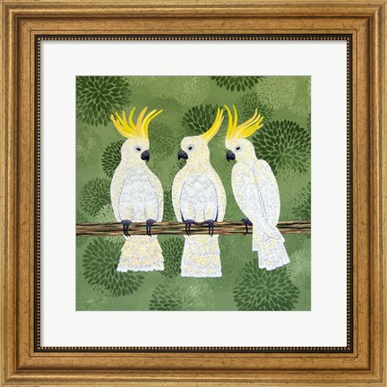 Framed Cockatoo Trio Print