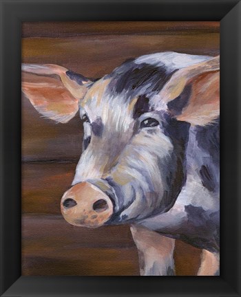 Framed Barn Pig Print