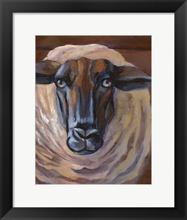 Framed Barn Sheep Print