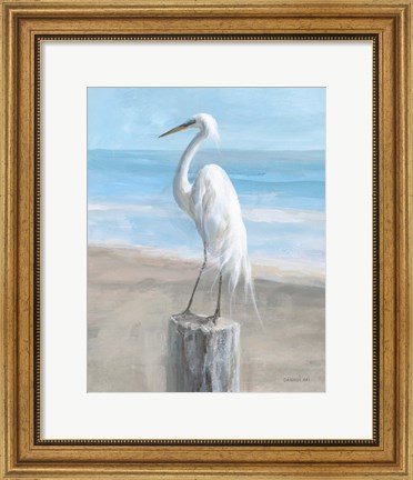 Framed Egret by the Sea Print