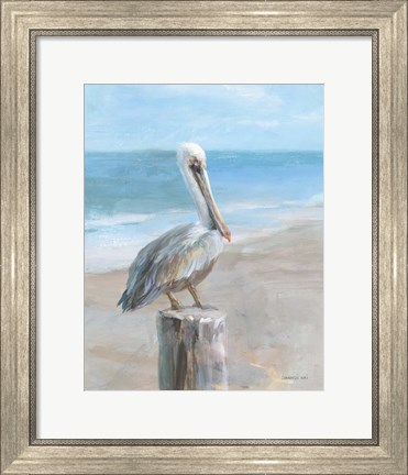 Framed Pelican by the Sea Print
