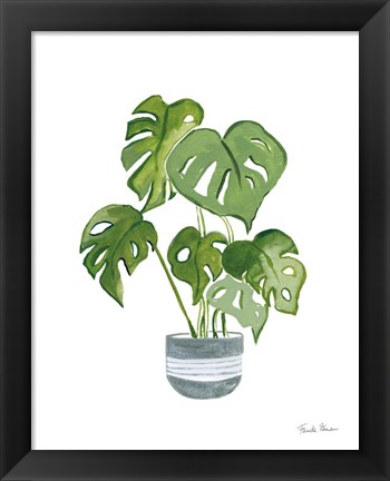 Framed Green House Plants II Print