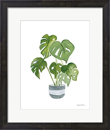 Framed Green House Plants II Print