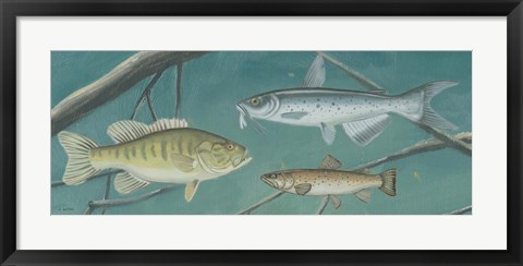 Framed Fresh Catch III Print