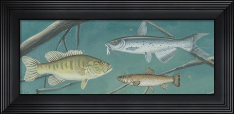 Framed Fresh Catch III Print