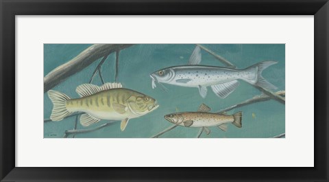 Framed Fresh Catch III Print