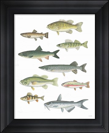 Framed Fresh Catch V Print