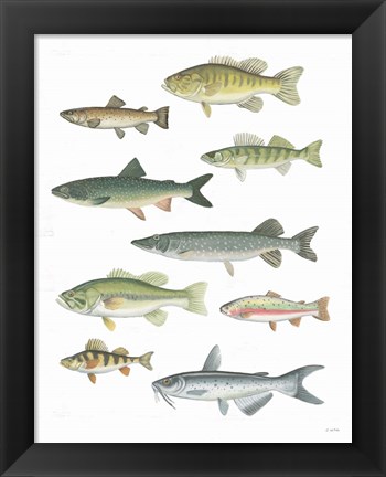 Framed Fresh Catch V Print