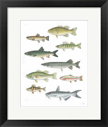 Framed Fresh Catch V Print