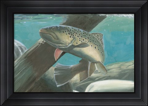 Framed Fresh Catch I Print