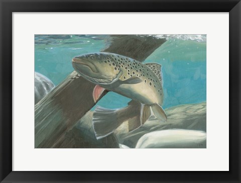 Framed Fresh Catch I Print