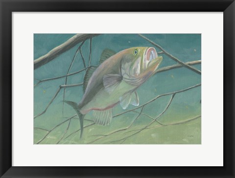 Framed Fresh Catch II Print