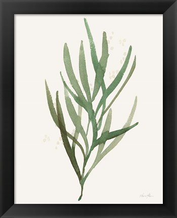 Framed Leaf and Stem VII Print