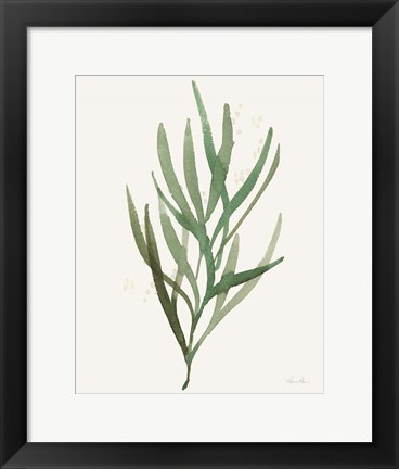 Framed Leaf and Stem VII Print