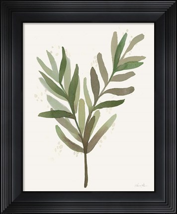 Framed Leaf and Stem VIII Print