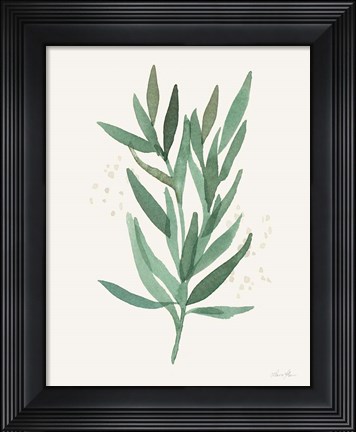 Framed Leaf and Stem VI Print