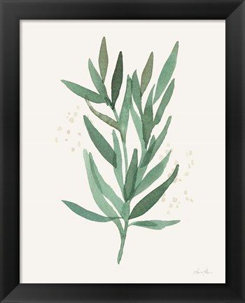 Framed Leaf and Stem VI Print