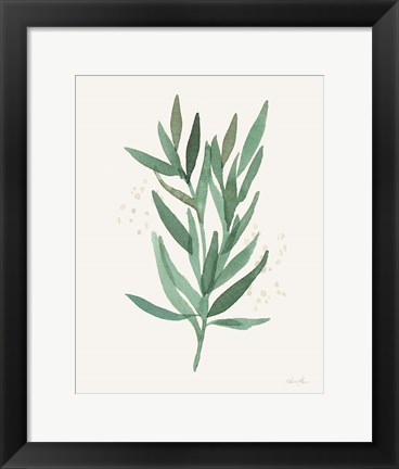 Framed Leaf and Stem VI Print