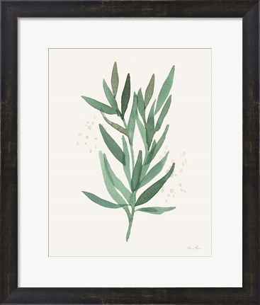 Framed Leaf and Stem VI Print