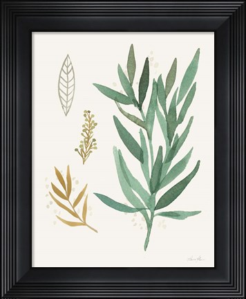 Framed Leaf and Stem IV Print