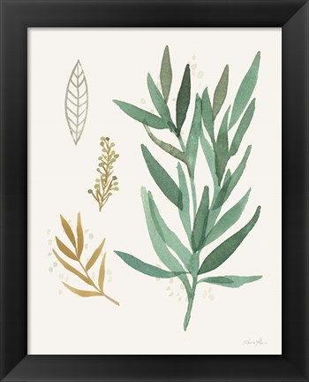 Framed Leaf and Stem IV Print