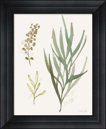 Framed Leaf and Stem III Print