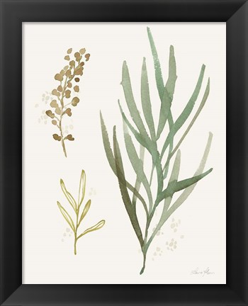 Framed Leaf and Stem III Print