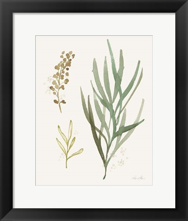 Framed Leaf and Stem III Print