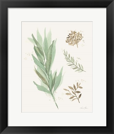 Framed Leaf and Stem I Print