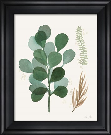 Framed Leaf and Stem II Print