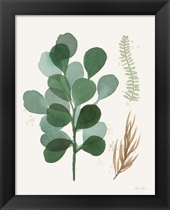 Framed Leaf and Stem II Print