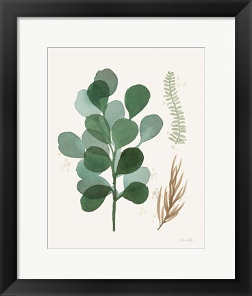 Framed Leaf and Stem II Print