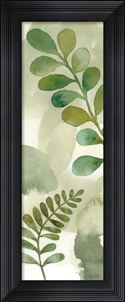 Framed Woodland Walk X Print