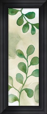 Framed Woodland Walk IX Print