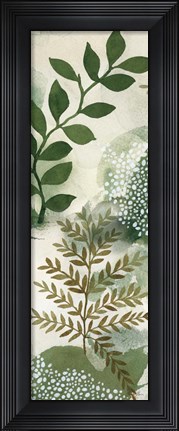 Framed Woodland Walk VII Print