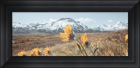 Framed Crop Print
