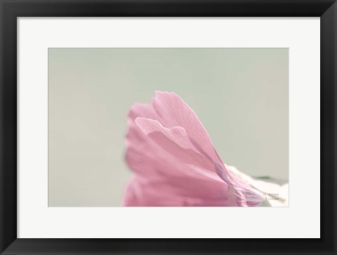 Framed Hollyhock Edge Print