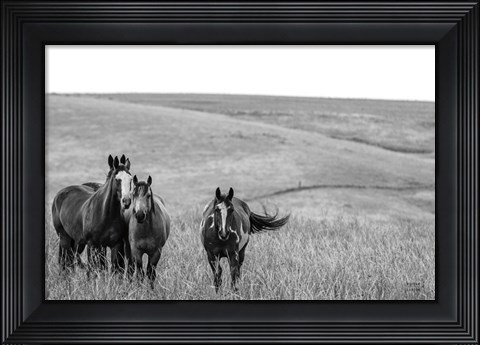 Framed Montana Moves Print