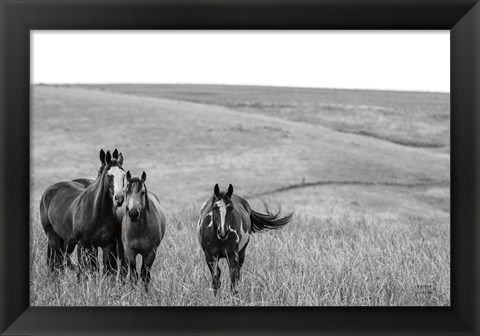 Framed Montana Moves Print