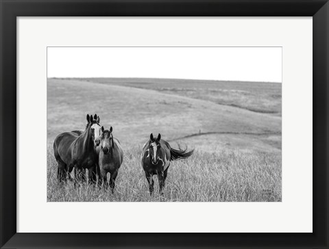 Framed Montana Moves Print