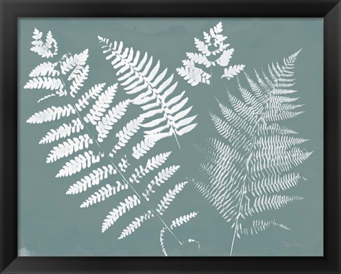 Framed Nature by the Lake Ferns II Gray Mist Crop Print