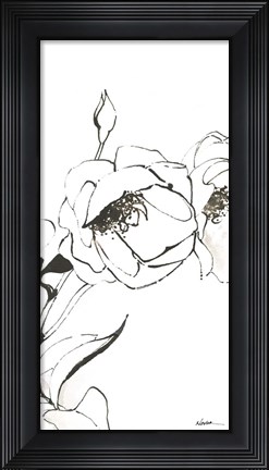 Framed Sketch of Roses Panel III Print