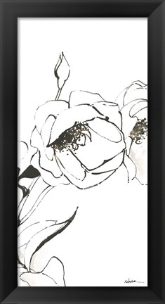 Framed Sketch of Roses Panel III Print