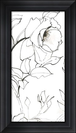 Framed Sketch of Roses Panel II Print