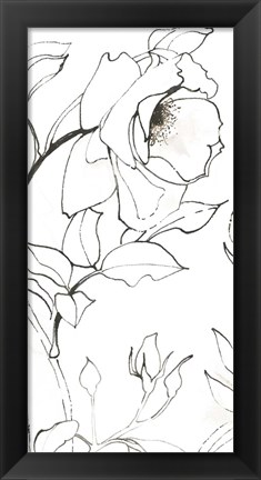 Framed Sketch of Roses Panel II Print