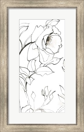 Framed Sketch of Roses Panel II Print