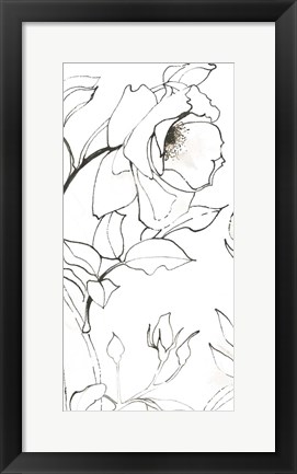 Framed Sketch of Roses Panel II Print