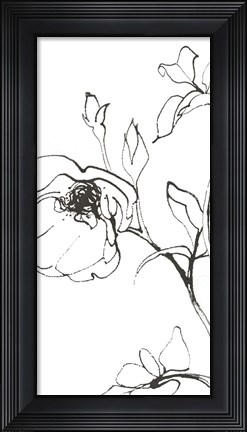 Framed Sketch of Roses Panel I Print