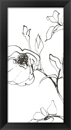 Framed Sketch of Roses Panel I Print